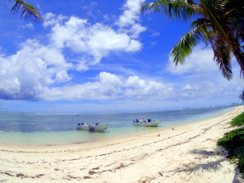 サイパン ダイビングライセンス