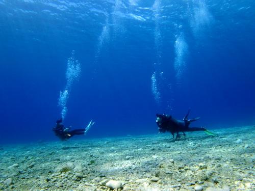 サイパン ダイビングライセンス