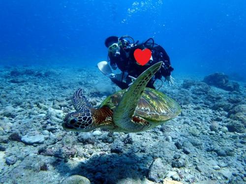 サイパン ダイビング