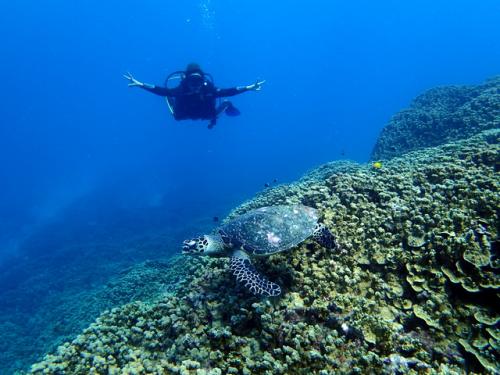 サイパン ダイビングライセンス