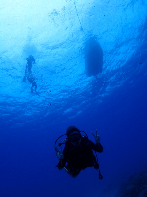 サイパン ダイビング