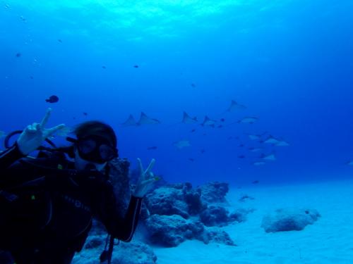 サイパン 体験ダイビング