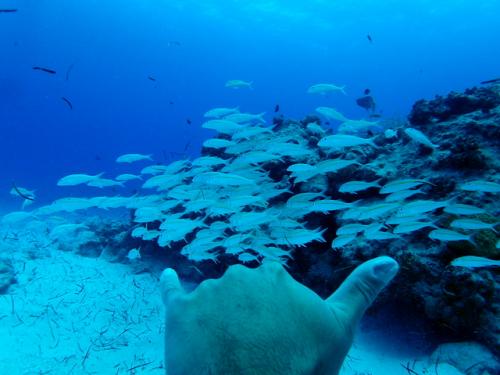 サイパン 島内観光
