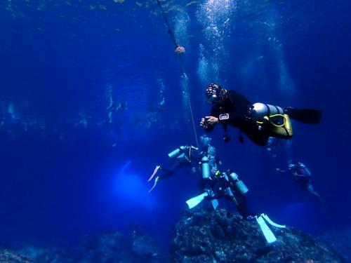 サイパン グロットシュノーケル