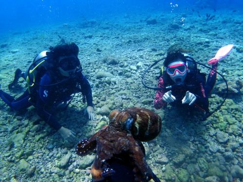 サイパン 島内観光