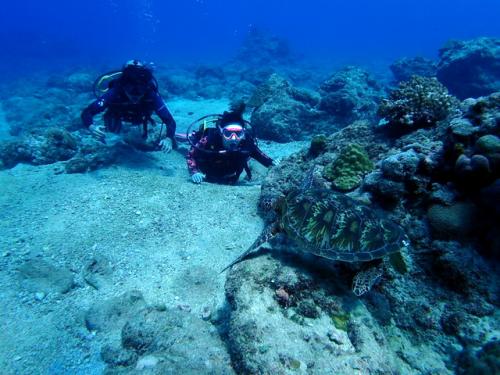 サイパン グロットシュノーケル