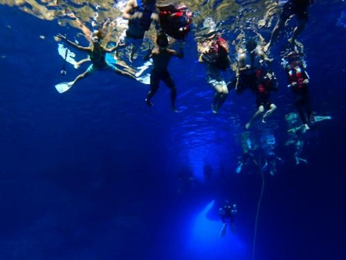 サイパン ダイビングライセンス