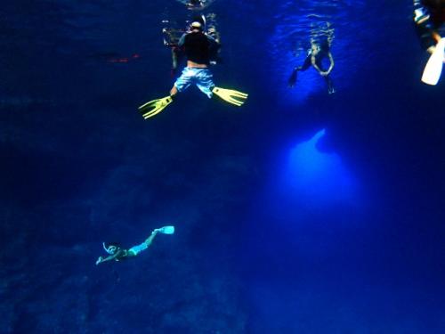 サイパン グロットシュノーケル