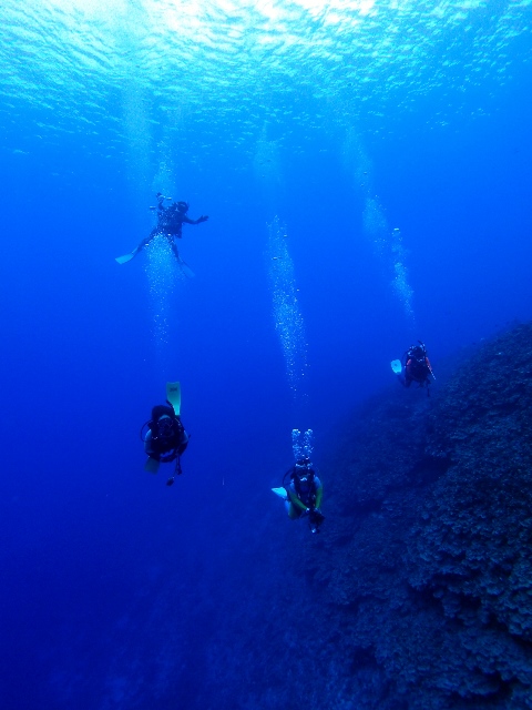 サイパン ダイビング