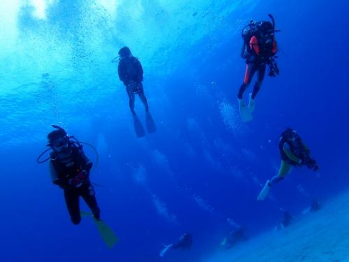 サイパン ダイビング