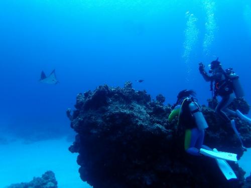 サイパン 体験ダイビング