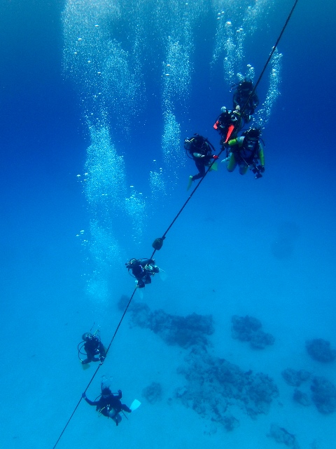 サイパン ダイビングライセンス