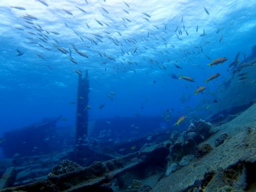 サイパン ダイビング