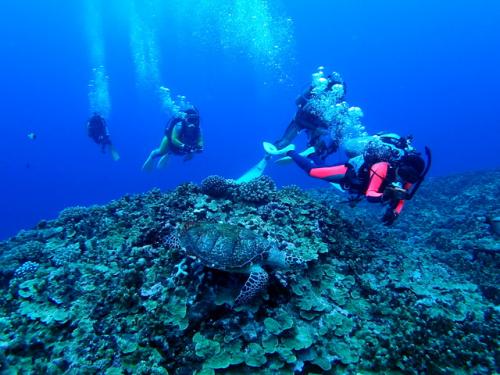 サイパン グロットシュノーケル