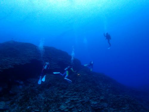 サイパン 体験ダイビング