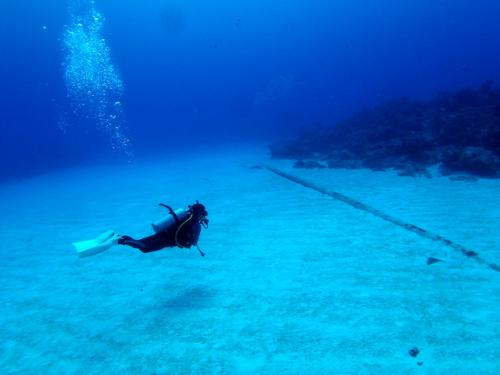 サイパン 体験ダイビング