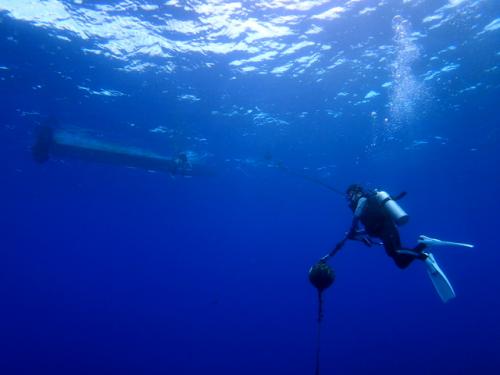 サイパン ダイビングライセンス