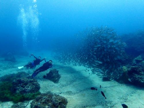 サイパン 島内観光