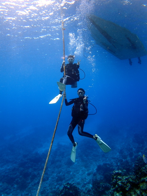 サイパン ダイビングライセンス