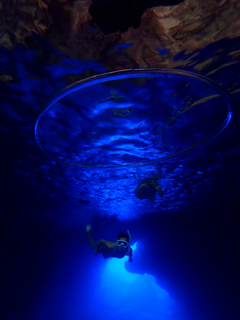 サイパン ダイビングライセンス