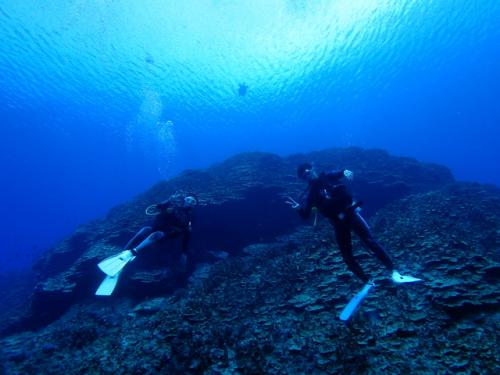 サイパン ダイビング