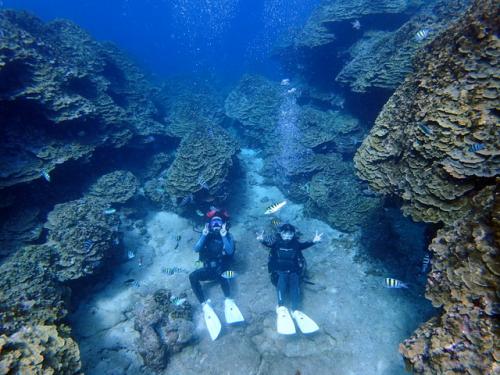 サイパン 体験ダイビング