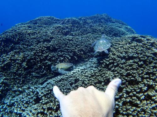 サイパン 体験ダイビング