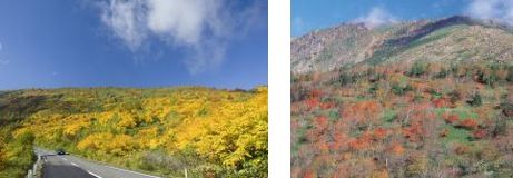 八幡平と早池峰山