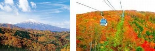 鳥海山と森吉山