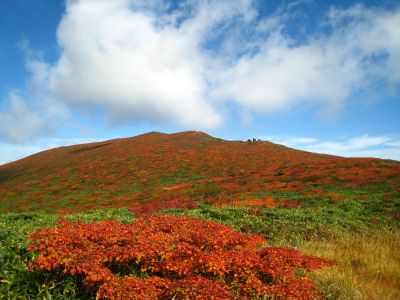 栗駒山