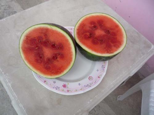 西瓜2