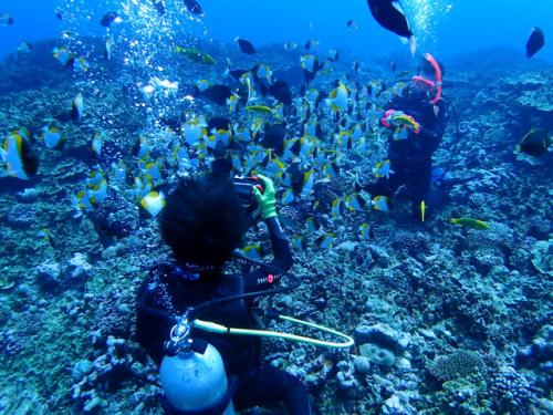 サイパン 体験ダイビング