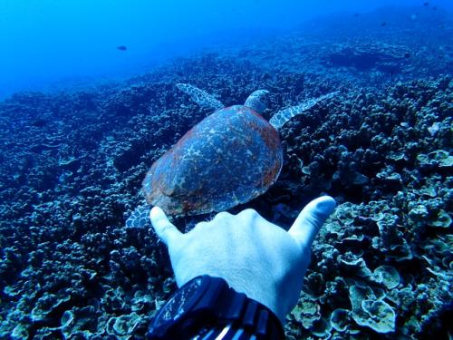 サイパン グロットシュノーケル