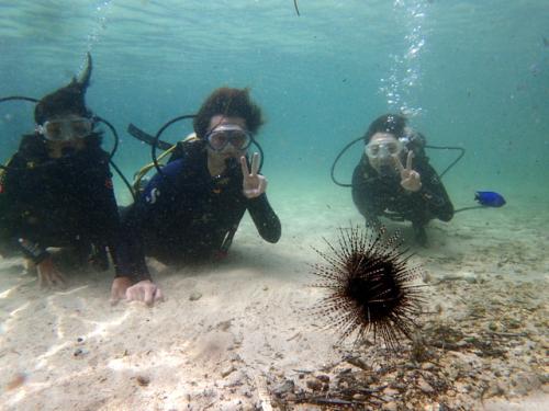 サイパン 体験ダイビング