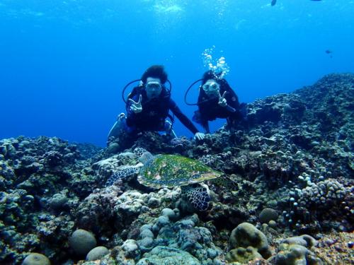 サイパン ダイビング