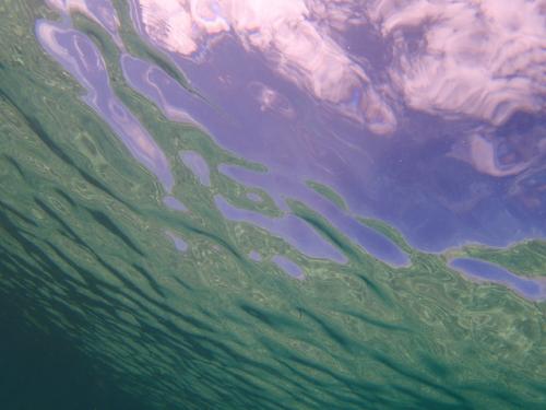 サイパン 体験ダイビング