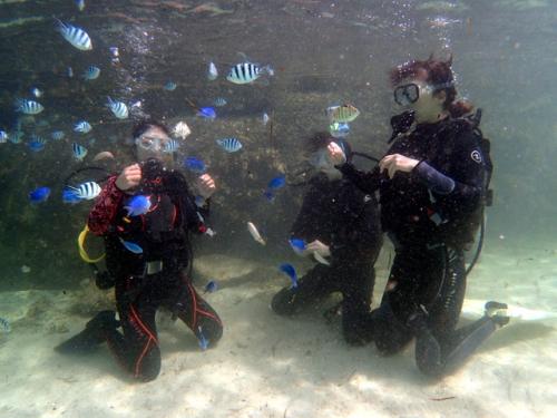 サイパン ダイビング