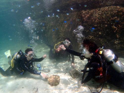 サイパン 体験ダイビング