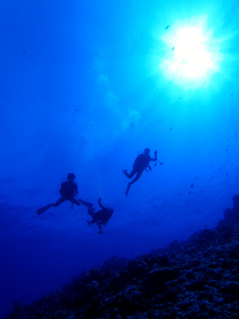 サイパン 体験ダイビング