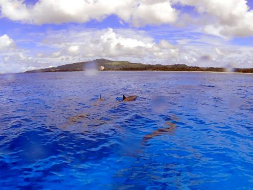 サイパン ダイビングライセンス