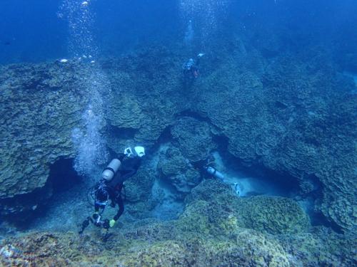 サイパン ダイビング