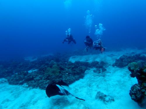 サイパン ダイビングライセンス