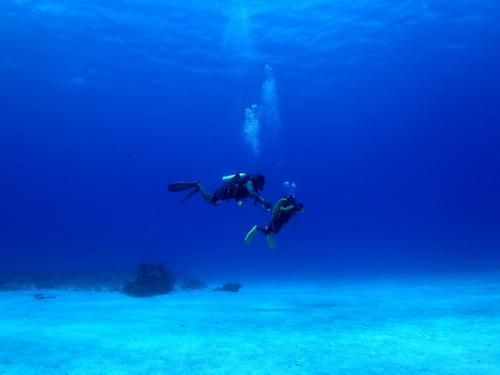 サイパン ダイビングライセンス