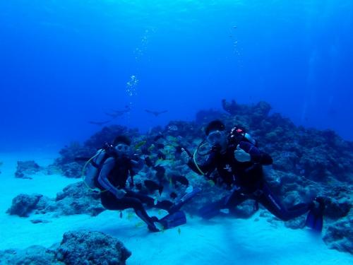 サイパン 島内観光