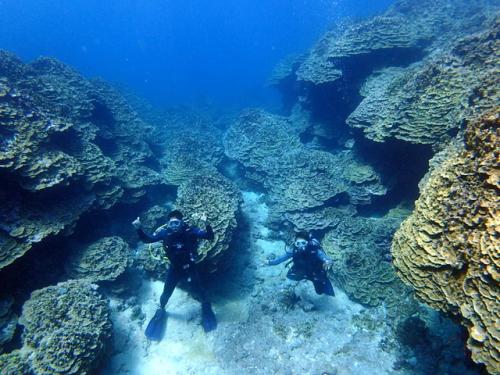 サイパン 島内観光