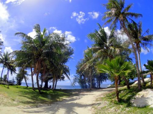 サイパン ダイビング