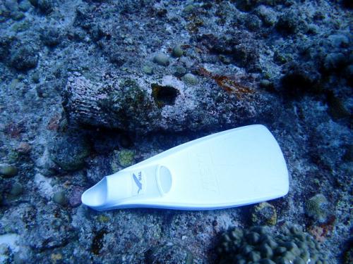 サイパン 島内観光