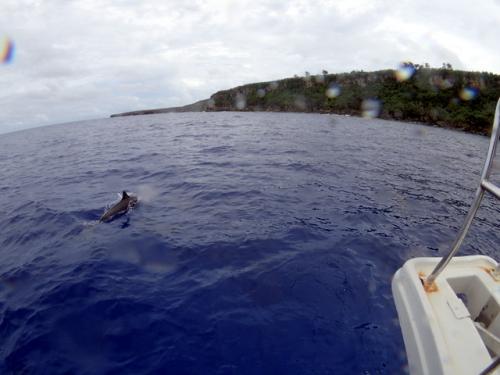 サイパン グロットシュノーケル