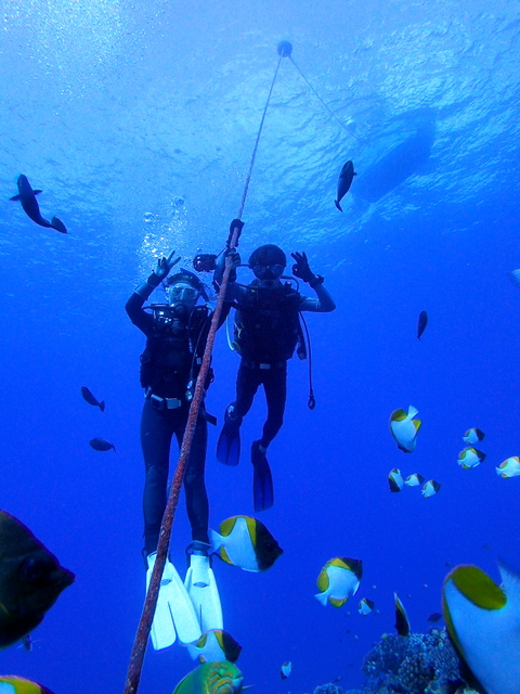 サイパン ダイビング