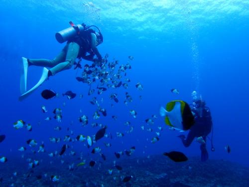 サイパン グロットシュノーケル